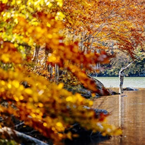 Fly fishing by an autumn forest in Lago Santo Modenese, Modena, Emilia Romagna, Italy