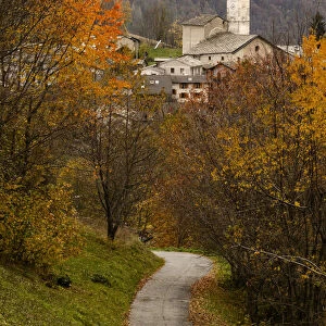 Foliage in Becetto, Sampeyre, Piedmont, Italy