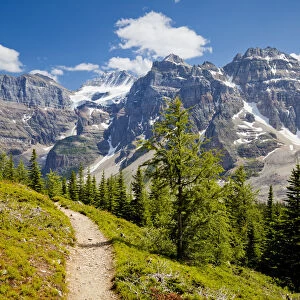 Footpath through the Valley of the Ten Peaks, Banff National Park, Alberta, Canada