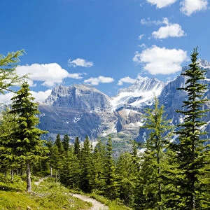 Footpath through Valley of the Ten Peaks, Banff National Park, Alberta, Canada