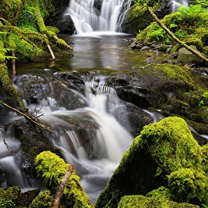 Forest stream Eas Dearg near Loch Ard, Aberfoyle, Stirling, Perthshire, Scotland, UK