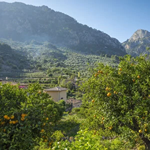 Fornalutx, Serra de Tramuntana, Mallorca, Balearic Islands, Spain