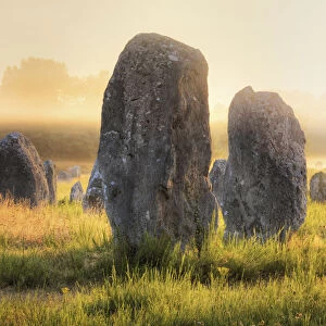 France, Brittany, Morbihan, Carnac, megalithic menhir alignments of Menec in fog