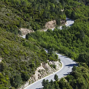 France, Corsica, Haute-Corse Department, Central Mountains Region, Vivario, elevated