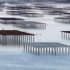 France, Occitanie, Herault, Bouzigues, oysters tables on the lagoon of Thau