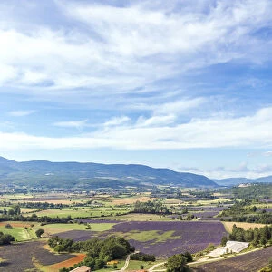 France, Provence Alps Cote d Azur, Vaucluse, Sault. Valley with lavender fields
