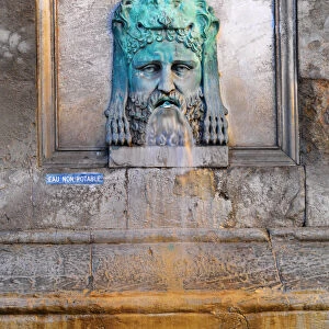 France, Provence, Arles, Place de la Republique, Bronze lion fountain