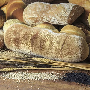 Freshly baked bread and cereals. Lombardy. Italy. Europe