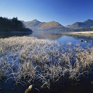 Frost on Derwent Water, Lake District National Park, Cumbria, England