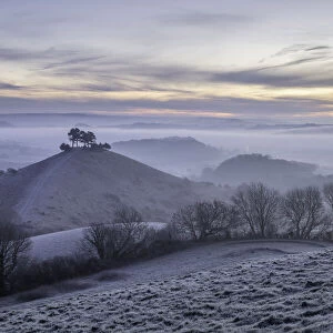 Frosty winter sunrise at Colmers Hill viewed from Quarry Hill, Bridport, Dorset