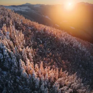 Frozen Forests of the Appennines Print, Tuscany, Italy Frozen Forests of the Appennines Print, Tuscany, Italy