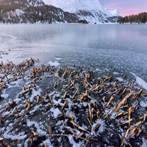 the frozen lake of Sils photographed on a cold winter morning, Engadine