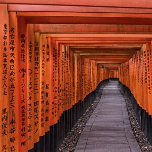 Fushimi Inari shrine, Torii gates, Kyoto, Japan