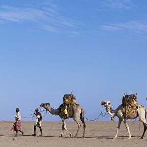Gabbra tribesmen lead their camel train across the Chalbi Desert