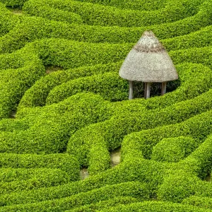 Garden Maze at Glendurgan Gardens, Falmouth, Cornwall, England