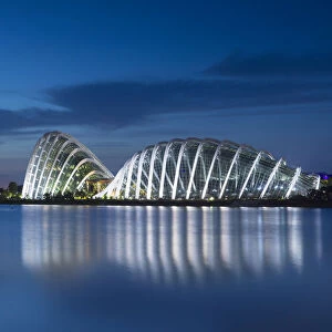 Gardens by the Bay at dawn, Singapore