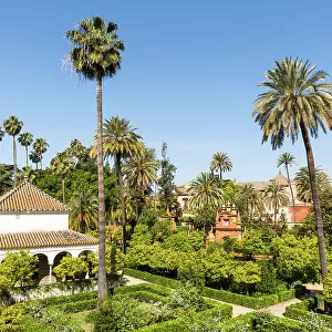 The gardens of the Real Alcazar de Sevilla (The Alcazar of Seville or Royal Palace of Seville), Seville, Andalusia, Spain