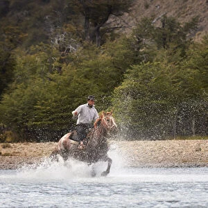 A gaucho galloping through the waters of the "Rio de las Vueltas"river