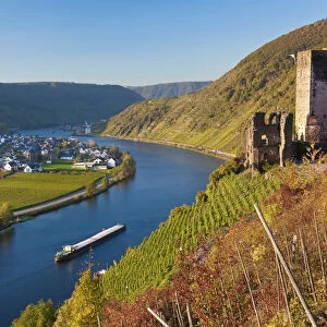 Germany, Rhineland-Palatinate, Rheinland-Pfalz, Metternich Castle ruins overlooking