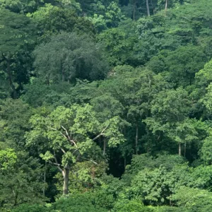 Ghana, Volta Region, Shairi