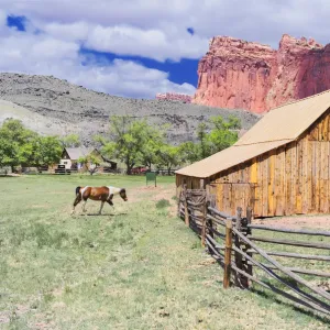 The Gifford Farmhouse, Capitol Reef National Park, Utah, USA