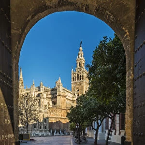 Giralda bell tower, Cathedral, Seville, Andalusia, Spain