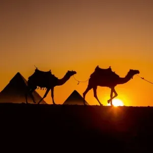 Giza Pyramids Print Giza Pyramids Print