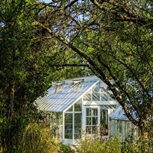Glasshouse at Skansen open air museum, Stockholm, Stockholm County, Sweden