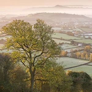 Glastonbury Tor at dawn from the Mendips, Somerset, England