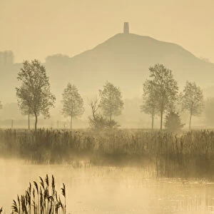 Glastonbury Tor across the Somerset Levels at dawn, Somerset, England