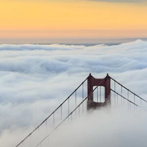 Golden Gate Bridge emerging from the morning fog at sunrise. San Francisco, Marin County
