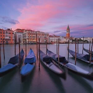Gondolas at Dorsoduro, Venice, Veneto, Italy. In the background the St. Marks bell tower