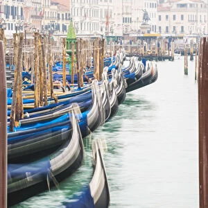 Gondolas in the mist on St Marks waterfront, Venice, Veneto, Italy