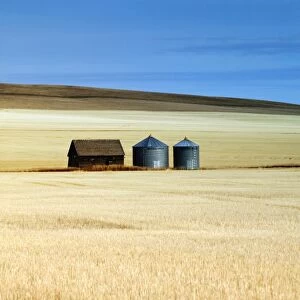 Grain Barn, Rosebud, Alberta, Canada