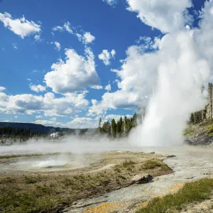 Grand Geyser, Upper Geyser Basin, Yellowstone National Park, Wyoming, USA