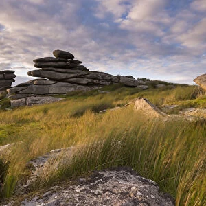 Granite tor on Stowes Hill, Bodmin Moor, Cornwall. Summer (July) 2015