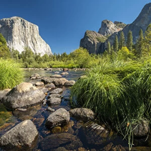 Grasses and rocks in Merced River at Valley View on sunny day, Yosemite National Park