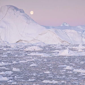 Greenland, DiskoBay, Moonlight over the icebergs of Kangerlua Fjord at dusk