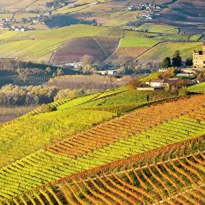 Grinzane Cavour and coloured vineyards at sunrise during autumn, Cuneo, Langhe and Roero, Piedmont, Italy, Southern Europe