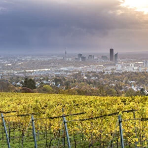 Grinzing, Vienna, Austria, Europe. View at sunrise from the vineyards around Grinzing
