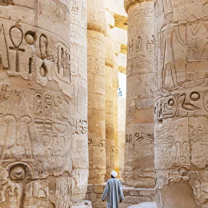 Guardian at the Karnak Temple, Luxor, Egypt, Africa