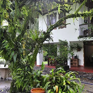Hacienda San Jose, Pereira, Colombia, South America