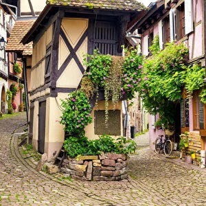 Half-timbered Buildings, Eguisheim, Alsace, France