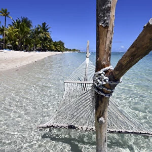 Hammock on a paradise beach, Le Morne, Mauritius, (Mauritian)