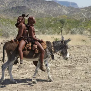 Two happy Himba girls ride a donkey to market