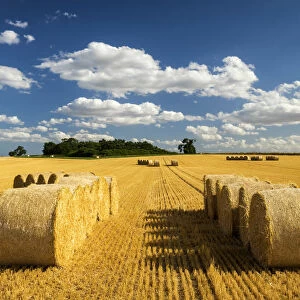 Hay Bales at Harvest Time, Norfolk, England