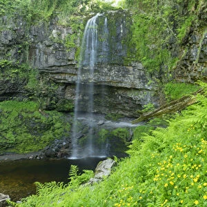 Henrhyd Falls, Brecon Beacons National Park, Powys, Wales