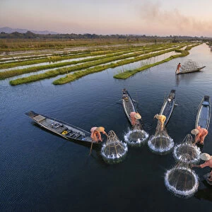 High angle of five traditional fishermen fishing together using conical nets, Lake Inle