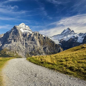 Hiking Path with Wetterhorn & Schreckhorn, Grindelwald, Bernese Oberland, Switzerland
