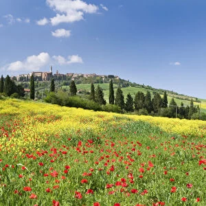 Hill town Pienza and field of poppies, Tuscany, Italy